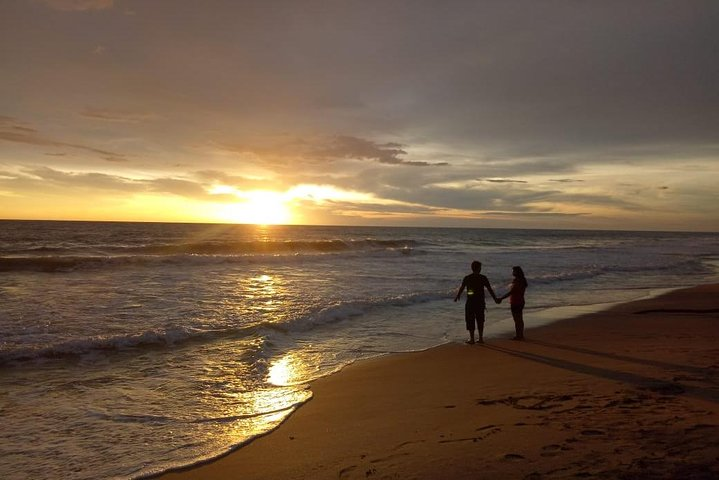 Mirissa Beach